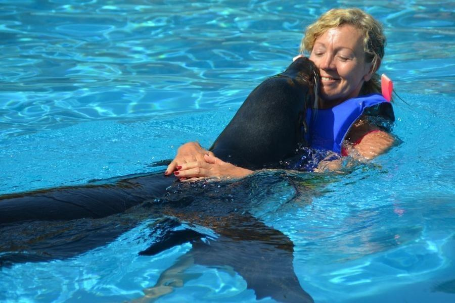 rancho-texas-swim-with-sea-lions_5_l