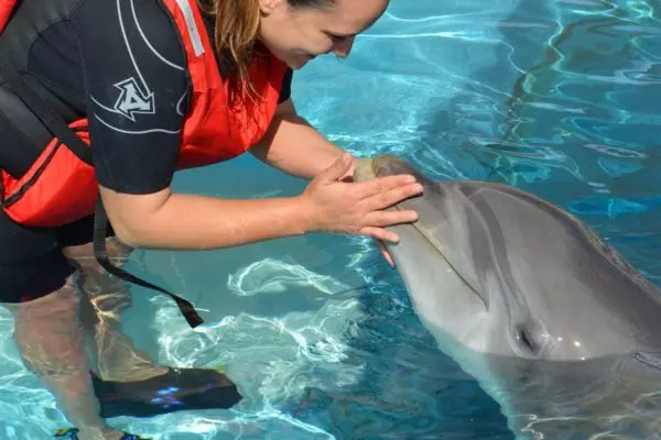 Interaktion mit Delfinen Lanzarote